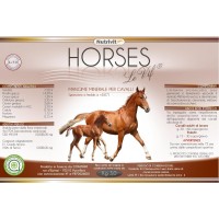 HORSES le Vif