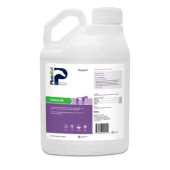 Carron Oil