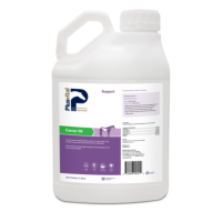 Carron Oil