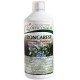 Broncaresp Eucalipto 1lt