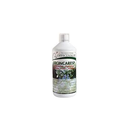 Broncaresp Eucalipto 1lt