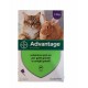 Advantage