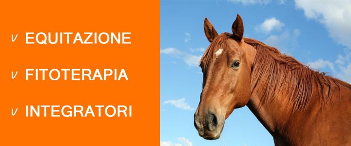 banner-equitazione.jpg